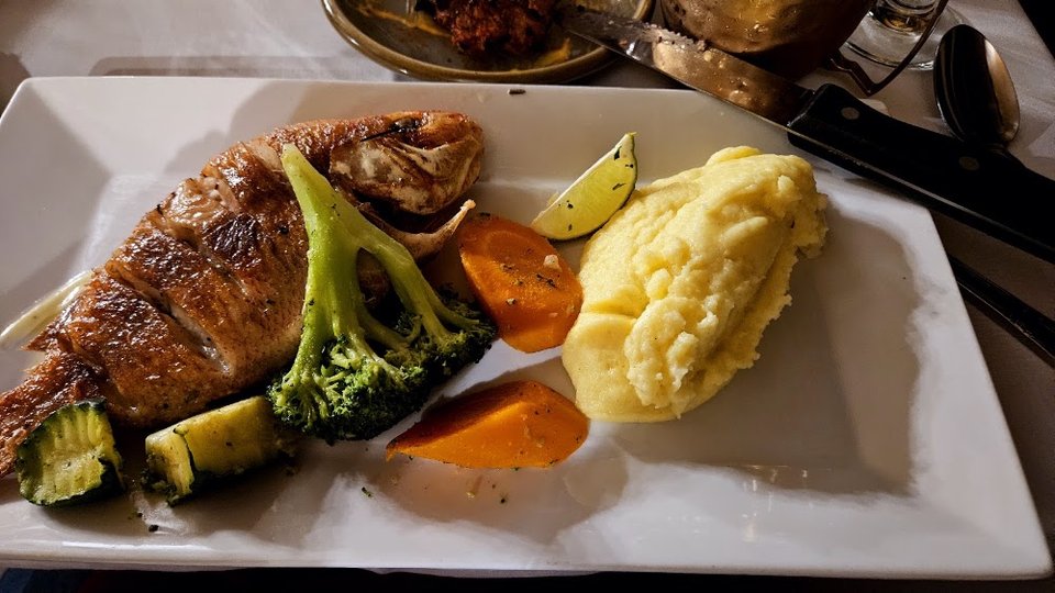 Red Snapper